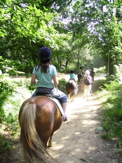 moi  a cheval